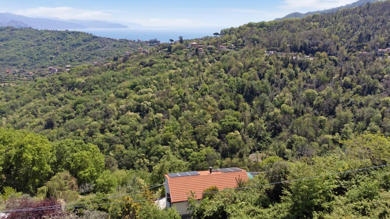 Fattorialmare Blu Daire Camogli Dış mekan fotoğraf