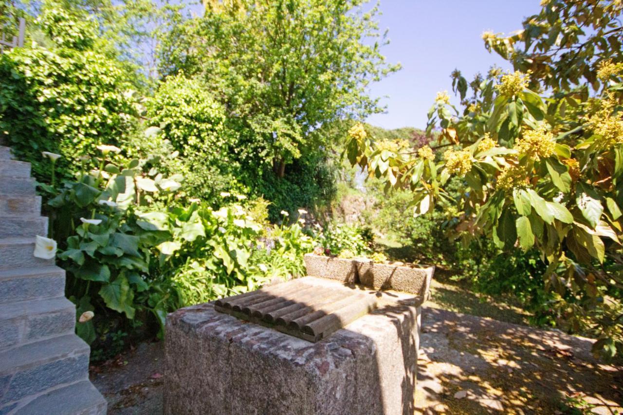 Fattorialmare Blu Daire Camogli Dış mekan fotoğraf