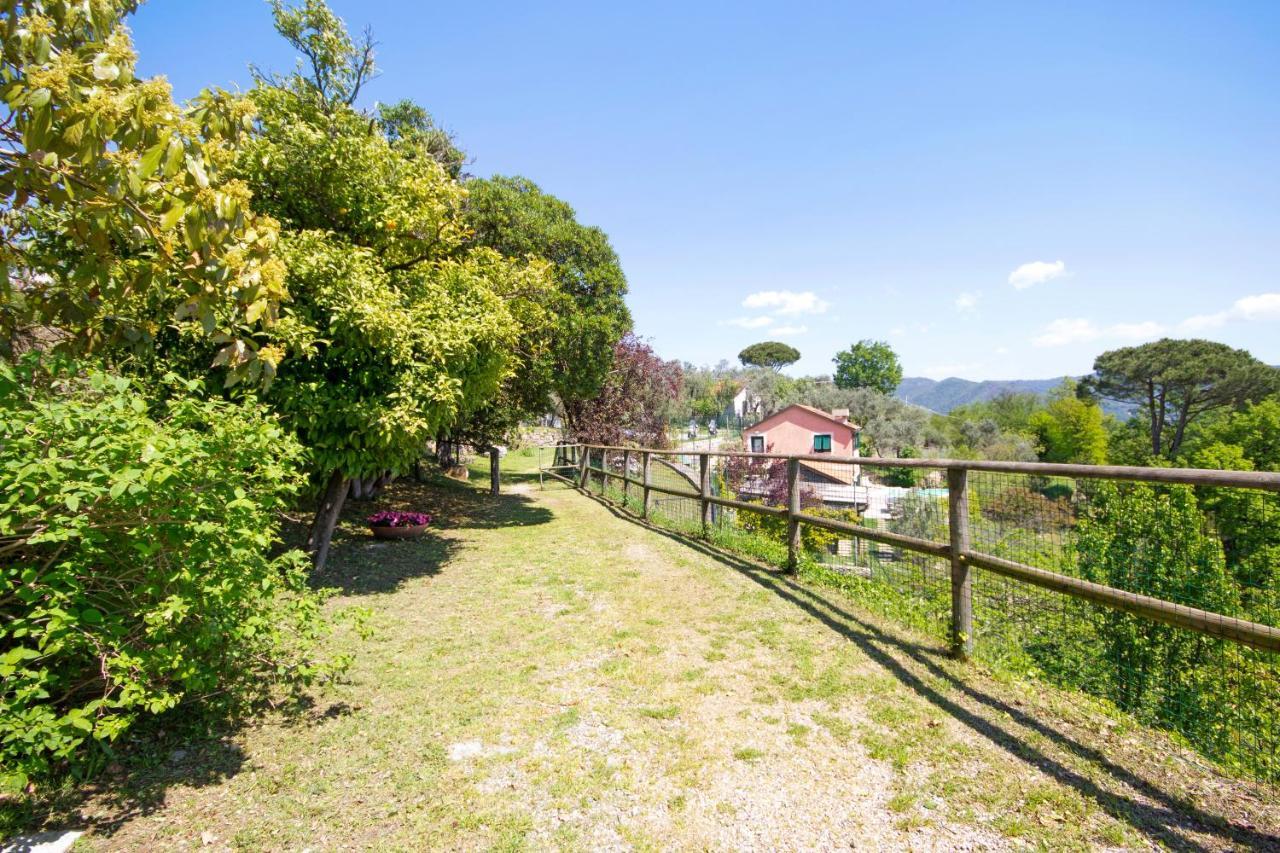 Fattorialmare Blu Daire Camogli Dış mekan fotoğraf